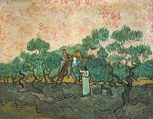 Impressionism Wall Art - Painting - The Olive Pickers by Vincent van Gogh