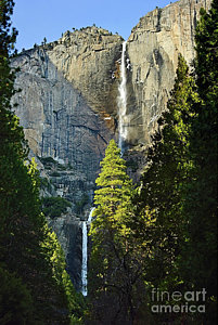 Wall Art - Photograph - Yosemite Falls With Late Afternoon Light In Yosemite National Park. by Jamie Pham