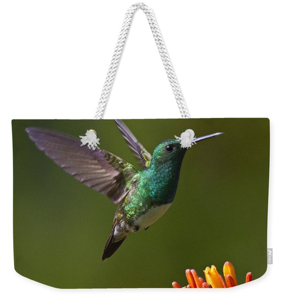Snowy-bellied Hummingbird Weekender Tote Bag