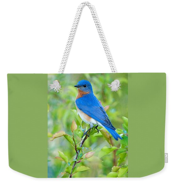 Bluebird Joy Weekender Tote Bag