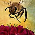 Bee I by April Moen
