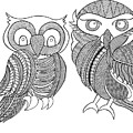 Bird Owls by Neeti Goswami