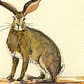 Hare  by Juan  Bosco