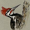 Pileated Woodpecker by Juan  Bosco