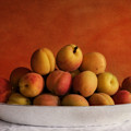 apricot delight by Priska Wettstein