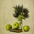 green apples and blue thistles by Priska Wettstein