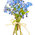 Bouquet of forget-me-nots by Elena Elisseeva