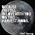 Harvest Moon by Cindy Greenbean