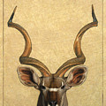 Kudu by James W Johnson