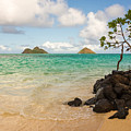 Lanikai Beach 1 - Oahu Hawaii by Brian Harig