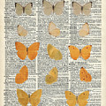 Yellow butterflies over dictionary book page by Anna W