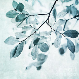 leaves in dusty blue by Priska Wettstein