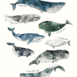 Whales by Amy Hamilton