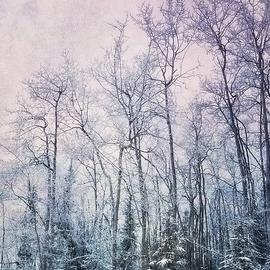 winter forest by Priska Wettstein