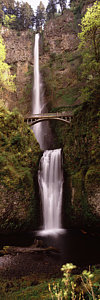 Wall Art - Photograph - Waterfall In A Forest, Multnomah Falls by Panoramic Images
