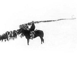 Wall Art - Photograph - Wintertime Cattle Drive by Charles Belden