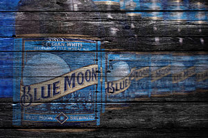 Wall Art - Photograph - Blue Moon by Joe Hamilton