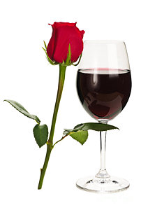 Wall Art - Photograph - Wine With Red Rose by Elena Elisseeva