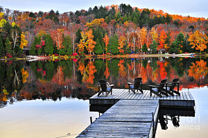 Wall Art - Photograph - Wooden Dock On Autumn Lake by Elena Elisseeva