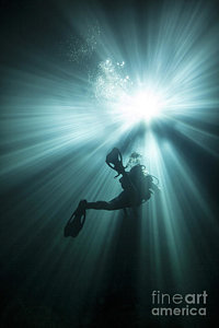 Wall Art - Photograph - A Scuba Diver Ascends Into The Light by Michael Wood