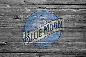 Wall Art - Photograph - Blue Moon by Joe Hamilton