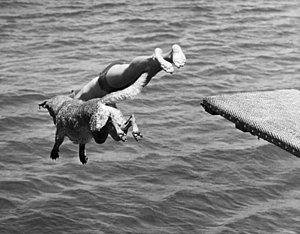 Wall Art - Photograph - Boy And His Dog Dive Together by Underwood Archives