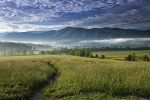 Wall Art - Photograph - Cades Cove Meadow by Andrew Soundarajan