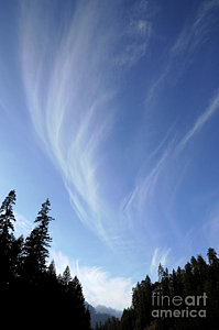Wall Art - Photograph - Cirrus Clouds by Robert and Jean Pollock