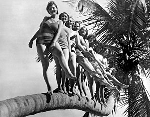 Wall Art - Photograph - Dancers Practice On Palm Tree by Underwood Archives