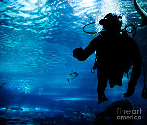 Wall Art - Photograph - Diving In The Ocean Underwater by Michal Bednarek