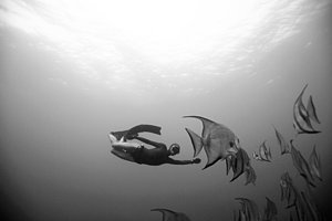 Wall Art - Photograph - Freediver And Batfish by One ocean One breath