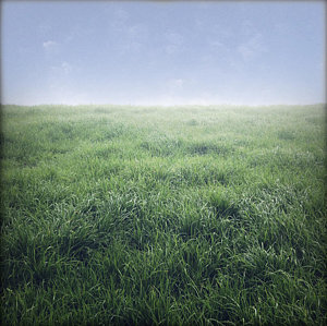 Wall Art - Photograph - Grass And Sky  by Les Cunliffe