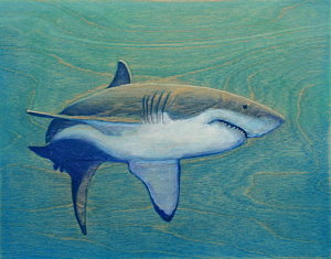 Wall Art - Painting - Great White by Nathan Ledyard