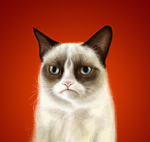 Wall Art - Digital Art - Grumpy Cat by Olga Shvartsur
