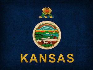 Wall Art - Mixed Media - Kansas State Flag Art On Worn Canvas by Design Turnpike