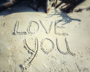 Wall Art - Photograph - Love You by Lisa Russo