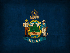Wall Art - Mixed Media - Maine State Flag Art On Worn Canvas by Design Turnpike