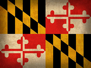 Wall Art - Mixed Media - Maryland State Flag Art On Worn Canvas by Design Turnpike