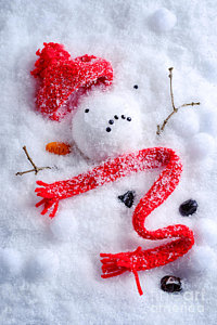 Wall Art - Photograph - Melted Snowman by Amanda Elwell