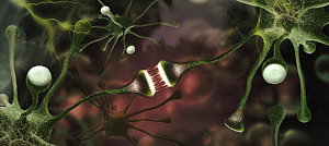 Wall Art - Photograph - Microscopic Image Of Brain Neurons by Panoramic Images