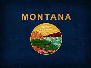 Wall Art - Mixed Media - Montana State Flag Art On Worn Canvas by Design Turnpike