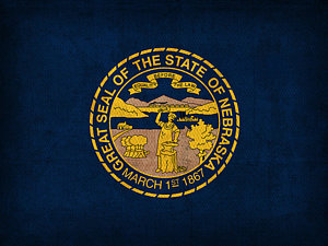 Wall Art - Mixed Media - Nebraska State Flag Art On Worn Canvas by Design Turnpike