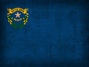 Wall Art - Mixed Media - Nevada State Flag Art On Worn Canvas by Design Turnpike