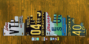 Wall Art - Mixed Media - New Orleans Louisiana City Skyline Vintage License Plate Art On Wood by Design Turnpike