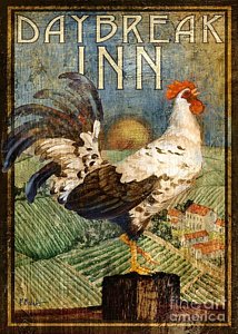 Wall Art - Painting - Rooster Signs 1 by Paul Brent