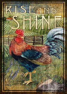 Wall Art - Painting - Rooster Signs 2 by Paul Brent