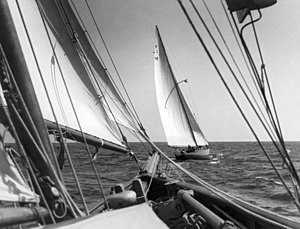 Wall Art - Photograph - Sailing In Los Angeles Regatta by Underwood Archives