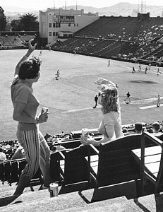 Wall Art - Photograph - Sf Giants Fans Cheer by Underwood Archives