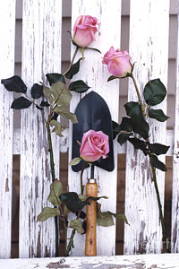 Wall Art - Photograph - Shabby Chic Cottage Romantic Pink Roses Garden Tools  by Kathy Fornal
