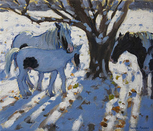 Wall Art - Painting - Skewbald Ponies In Winter by Andrew Macara
